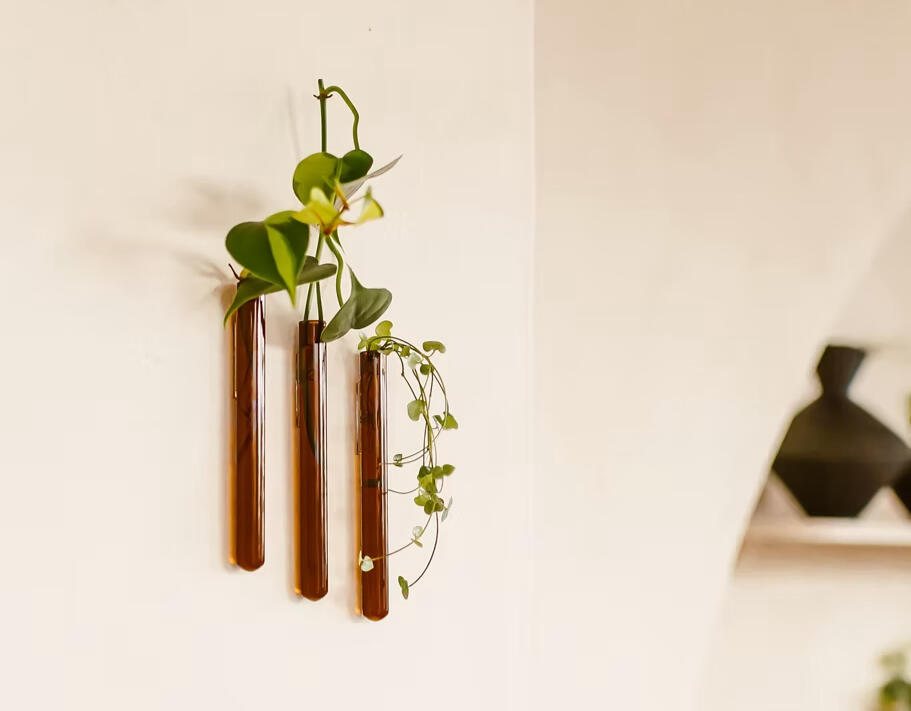 Wall mounted Glass Vases